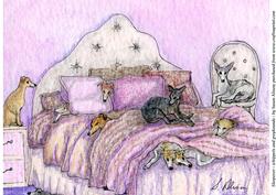 Sleepover - Whippets and Greyhounds