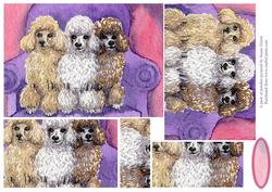 A Pack of Poodles Pyramid