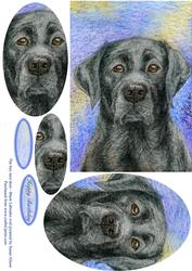The Boy Next Door - Black Labrador Retriever Oval Pyramid