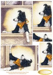 Border Collie Dog Dude Pyramage