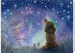 Poodle Looking to the Stars for Inspiration