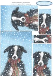 His Holiday Scarf Pyramage