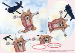 After Herding, Skydiving Was His Passion Oval Pyramage