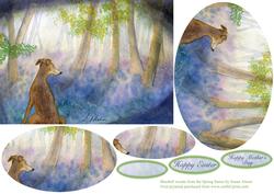 Bluebell Woods from the Spring Series