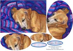 Snug Dachshund Oval Pyramage