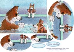 Swimming Lessons Oval Pyramage