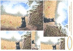 Border Collie Dog Meditating on Summer Meadow Pyramage