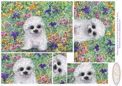 Maltese Bichon Puppy in the Flower Bed Pyramage