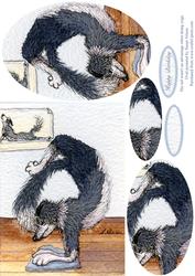 His Tail Wasn't an Advantage When Doing Yoga Oval Pyramage