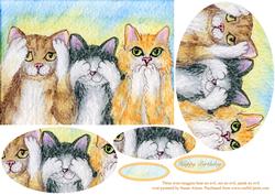 Three Wise Moggies Hear No Evil, See No Evil, Speak No Evil