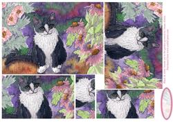 Black & White Tuxedo Cat in the Garden Pyramage