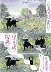 Black Labrador Dog in Meadow of Flowers Wavy Corner Stacker