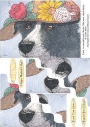 It was her special bonnet - Border Collie dog in a bonnet, wavy edged stacker