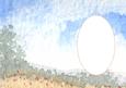 Poppy Field and Sky Insert