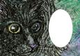 Black Cat Insert