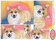 Corgi Wisdom - the Only Thing You Can Do - is Have a Laff!