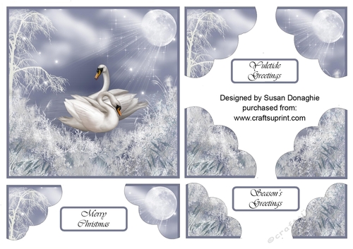 Mystical Winter Swan Lake by Moonlight