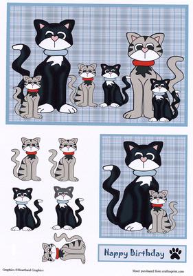Cats & Kittens Family