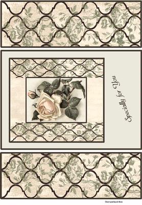 Shabby Chic Roses #2 Gatefold