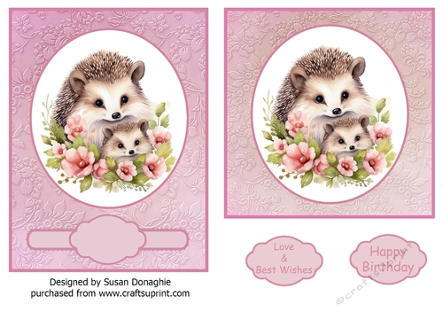 Mum and Baby Hedgehogs