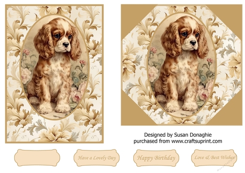Cavalier King Charles Spaniel