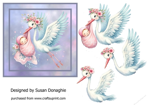 Stork with Newborn Baby Girl