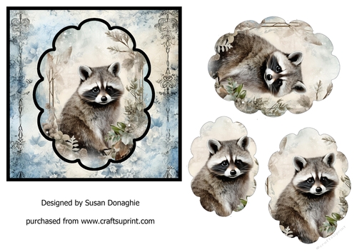Woodland Racoon
