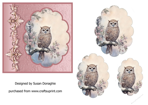 Woodland Owl