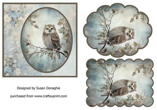 Woodland Owl #2