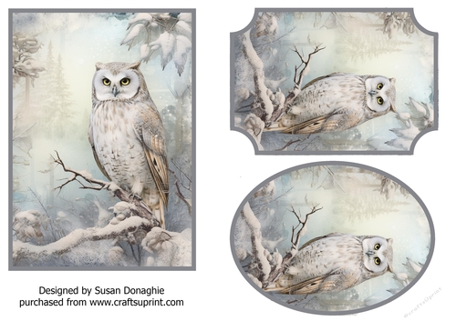 Woodland Owl #3