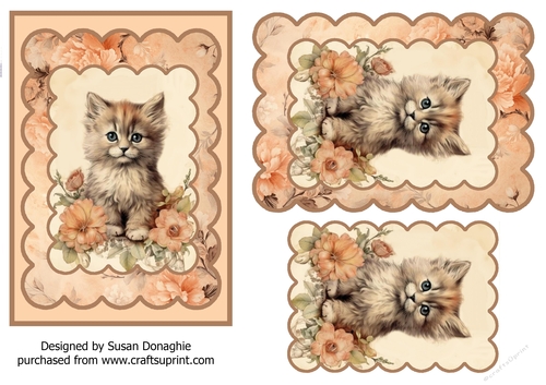 Peach Floral Kitten