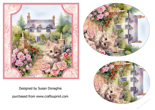 Kitten in the Cottage Rose Garden