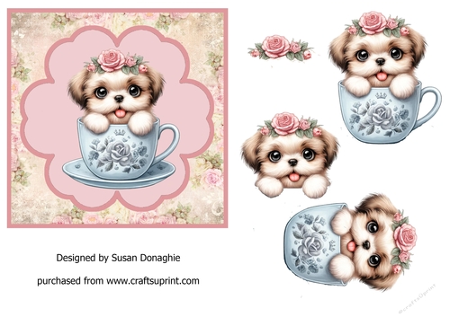 Shih Tzu Puppy in a Teacup
