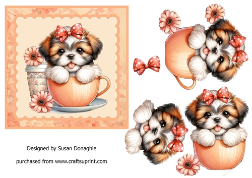 Shih Tzu Puppy in a Teacup #2