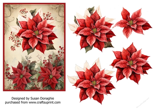 Christmas Poinsettias