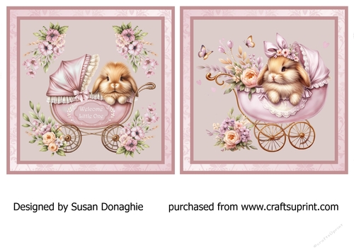 Little Bunny Newborn Baby Girl