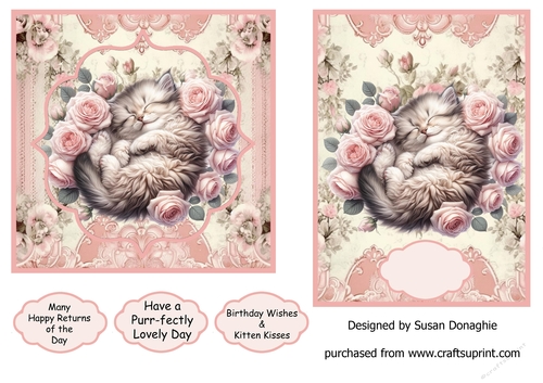 Kitten with Pink Roses
