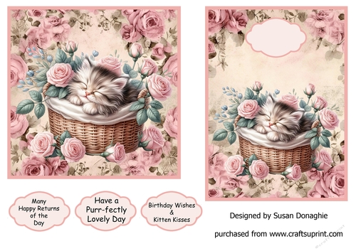 Kitten with Pink Roses #2