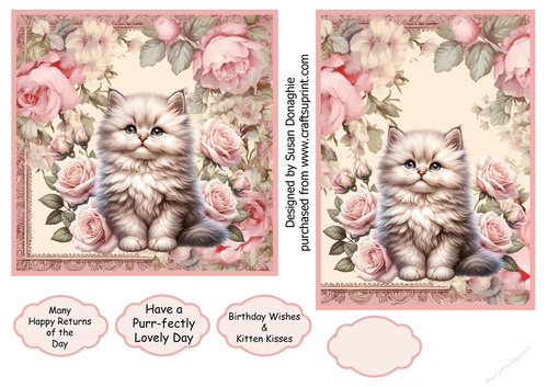 Kitten with Pink Roses #3