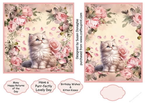 Kitten with Pink Roses #4