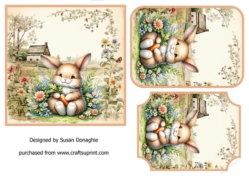 Cuddly Bunny