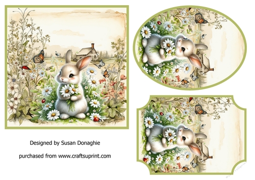 Cuddly Bunny #2
