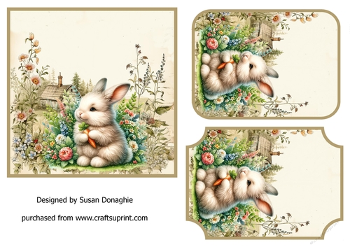 Cuddly Bunny #3