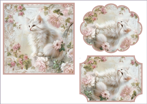 Kitten & Camellias