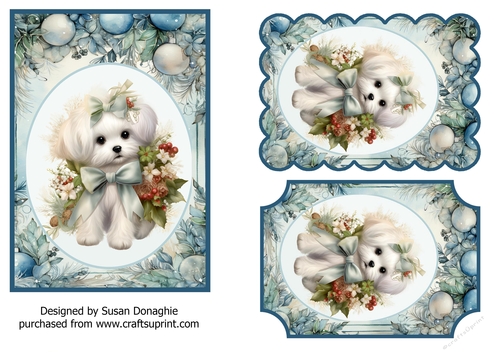 Christmas Maltese Puppy