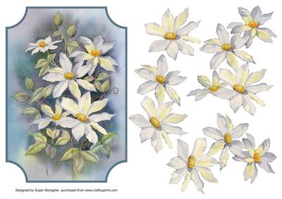 Floral Watercolour