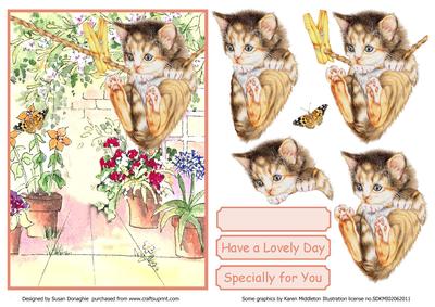 I Want That Butterfly!