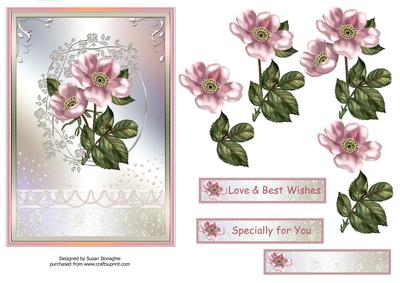 Wild Roses & Pearls