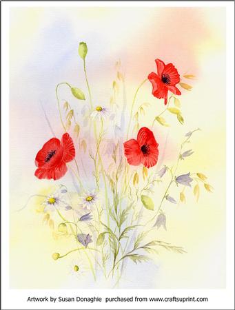 Poppies & Meadow Flowers