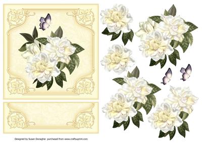 Gorgeous Gardenias